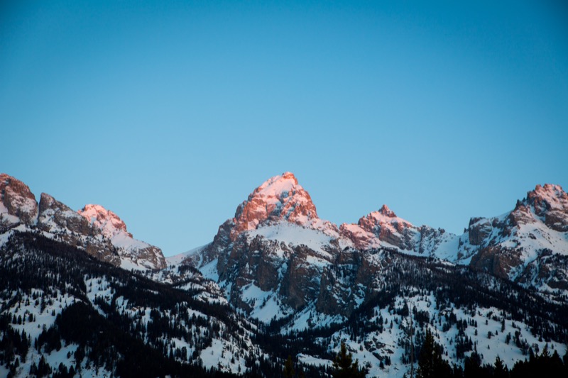 20150308-GC1A0225.jpg